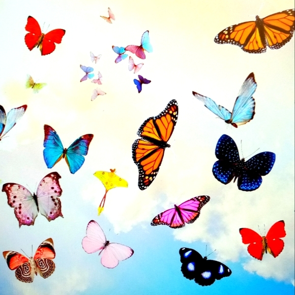 Make Offers, Bundle and Save... - Picture 1 of 1